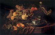Jan  Fyt Fruit and a Parrot France oil painting reproduction